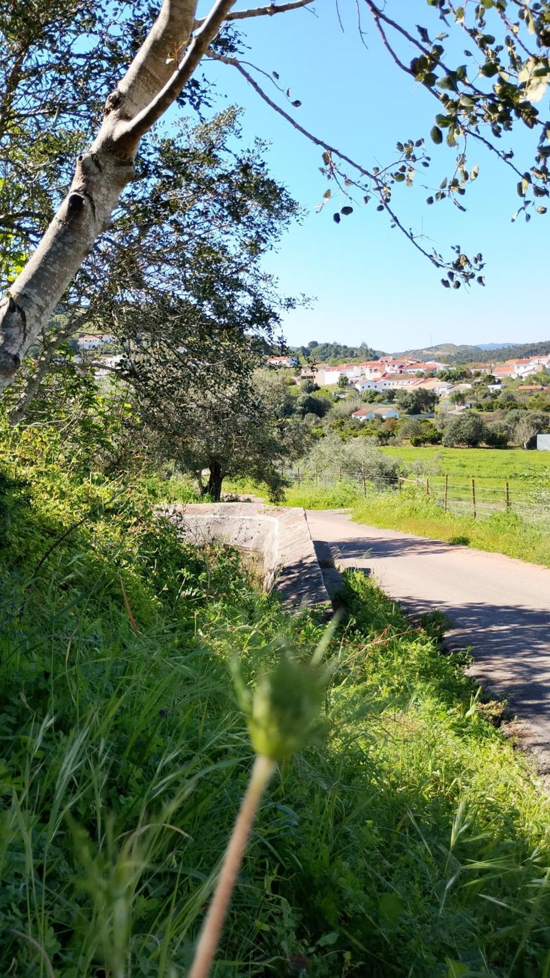 Paraiso Da Aldeia เซาบาร์โตโลเมว จิ เมสซิเนส ภายนอก รูปภาพ